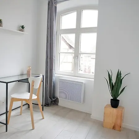 La Pomme Du President II Appartement Sélestat Buitenkant foto